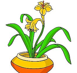花卉古典插畫(huà)