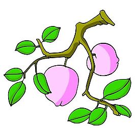 花卉古典插畫
