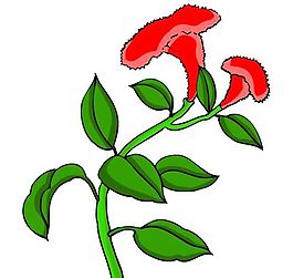 花卉古典插畫