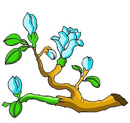 花卉古典插畫