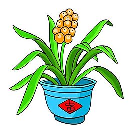 花卉古典插畫