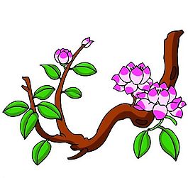 花卉古典插畫