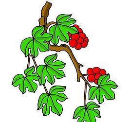 花卉古典插畫