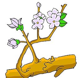花卉古典插畫