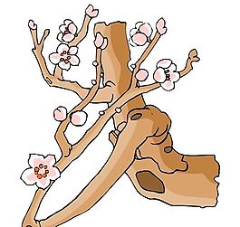 花卉古典插畫