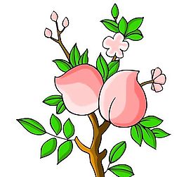 花卉古典插畫