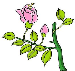 花卉古典插畫