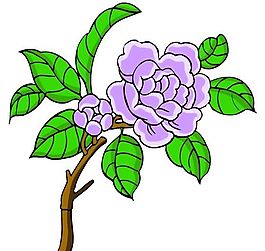 花卉古典插畫