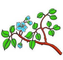 花卉古典插畫