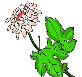 花卉古典插畫