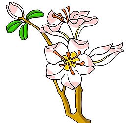 花卉古典插畫