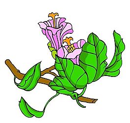 花卉古典插畫