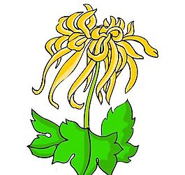 花卉古典插畫
