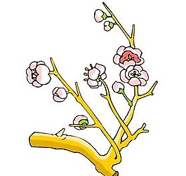 花卉古典插畫