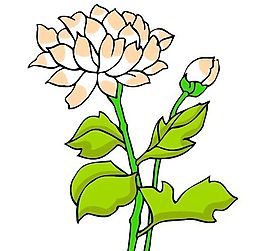 花卉古典插畫