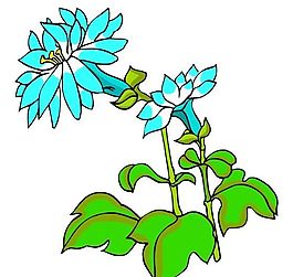 花卉古典插畫