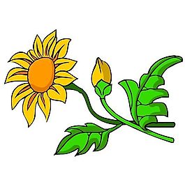 花卉古典插畫