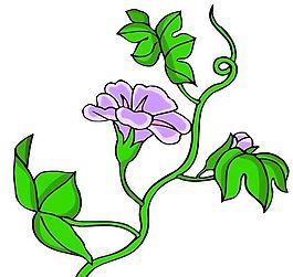 花卉古典插畫
