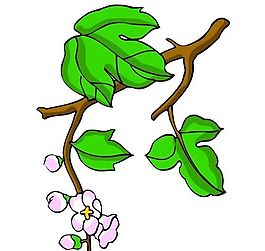 花卉古典插畫