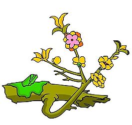 樹木古典插畫
