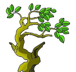 樹木古典插畫