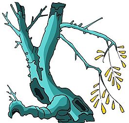 樹木古典插畫