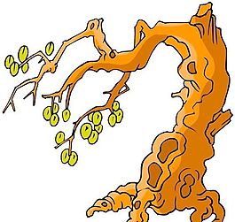 樹木古典插畫