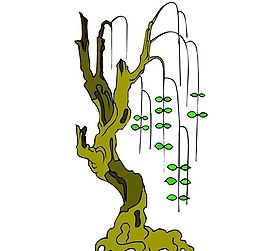 樹木古典插畫