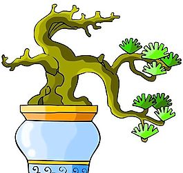 樹(shù)木古典插畫(huà)