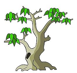 樹木古典插畫