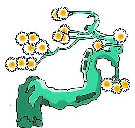 樹(shù)木古典插畫(huà)