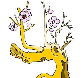 樹(shù)木古典插畫(huà)