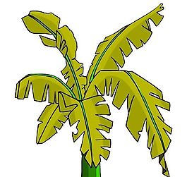 樹木古典插畫