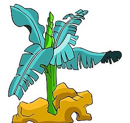 樹(shù)木古典插畫
