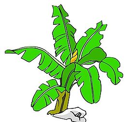樹木古典插畫