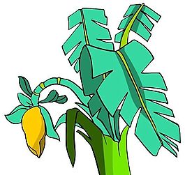 樹木古典插畫
