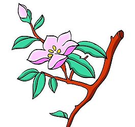 花卉古典插畫