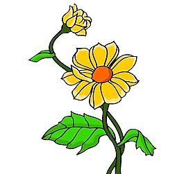 花卉古典插畫