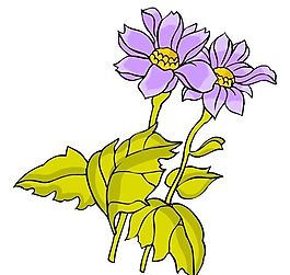 花卉古典插畫