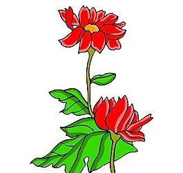 花卉古典插畫