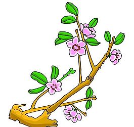 花卉古典插畫