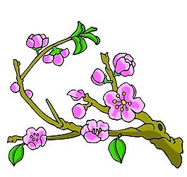花卉古典插畫