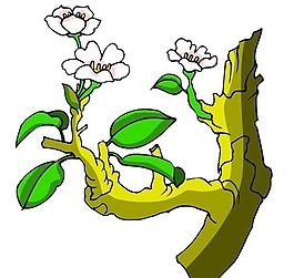 花卉古典插畫