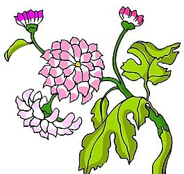 花卉古典插畫