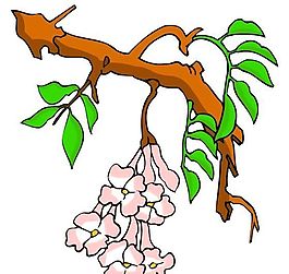 花卉古典插畫