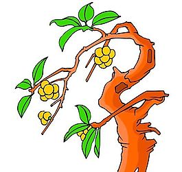 花卉古典插畫