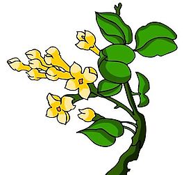 花卉古典插畫
