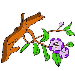 花卉古典插畫
