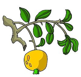 花卉古典插畫(huà)