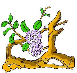 花卉古典插畫